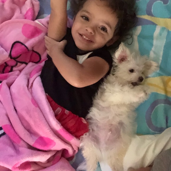 Meet your Posher, Christina - Picture 2 of 2